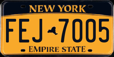 NY license plate FEJ7005