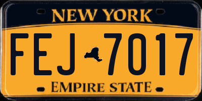NY license plate FEJ7017