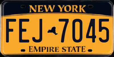 NY license plate FEJ7045