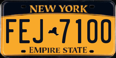 NY license plate FEJ7100