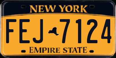 NY license plate FEJ7124
