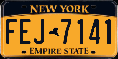 NY license plate FEJ7141