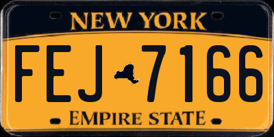 NY license plate FEJ7166
