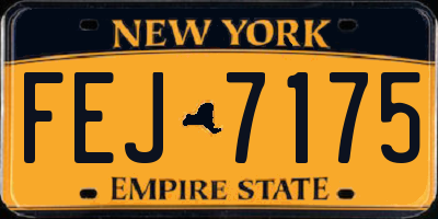 NY license plate FEJ7175