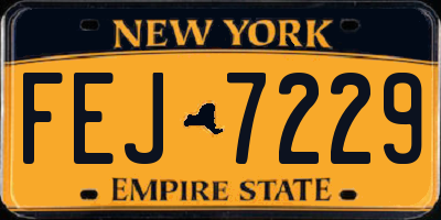 NY license plate FEJ7229