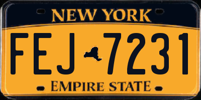 NY license plate FEJ7231