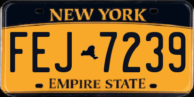 NY license plate FEJ7239
