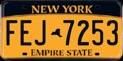 NY license plate FEJ7253