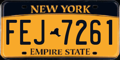 NY license plate FEJ7261
