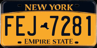 NY license plate FEJ7281