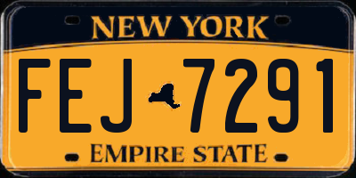 NY license plate FEJ7291