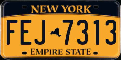 NY license plate FEJ7313