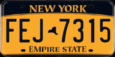 NY license plate FEJ7315