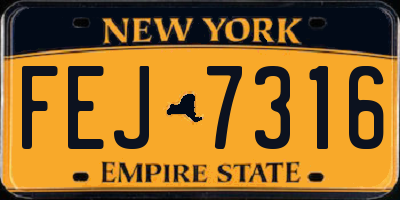NY license plate FEJ7316
