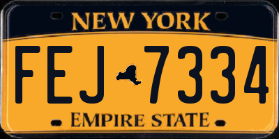 NY license plate FEJ7334