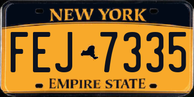 NY license plate FEJ7335