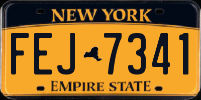NY license plate FEJ7341
