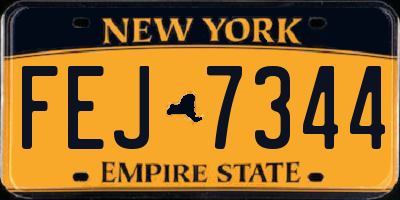 NY license plate FEJ7344