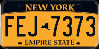 NY license plate FEJ7373