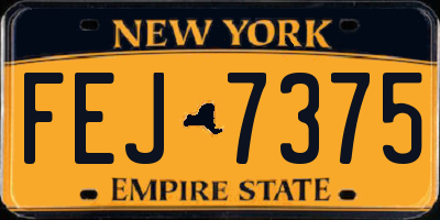NY license plate FEJ7375