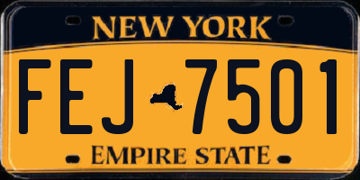 NY license plate FEJ7501