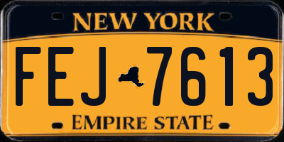 NY license plate FEJ7613