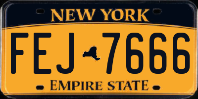 NY license plate FEJ7666