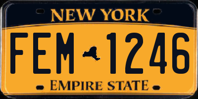 NY license plate FEM1246
