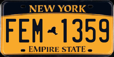 NY license plate FEM1359