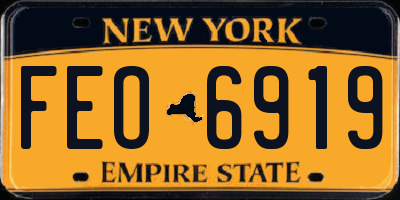 NY license plate FEO6919
