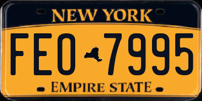 NY license plate FEO7995