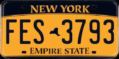 NY license plate FES3793