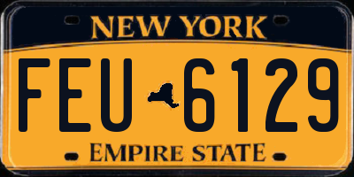 NY license plate FEU6129