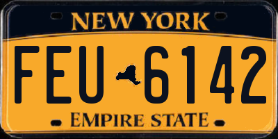 NY license plate FEU6142