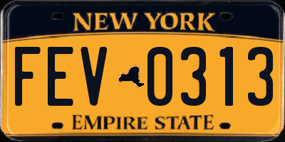 NY license plate FEV0313