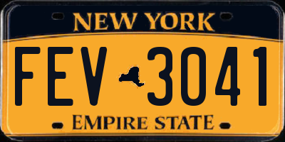 NY license plate FEV3041