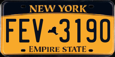 NY license plate FEV3190