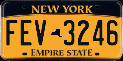 NY license plate FEV3246