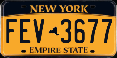 NY license plate FEV3677