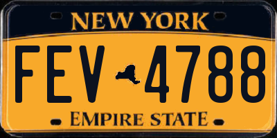 NY license plate FEV4788
