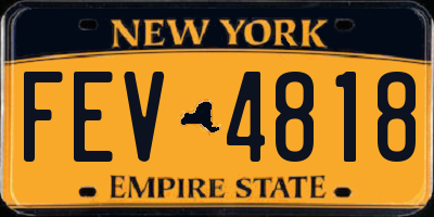 NY license plate FEV4818