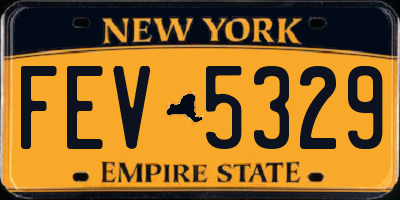 NY license plate FEV5329