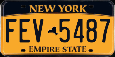 NY license plate FEV5487