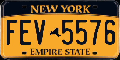 NY license plate FEV5576
