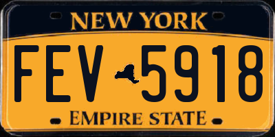 NY license plate FEV5918