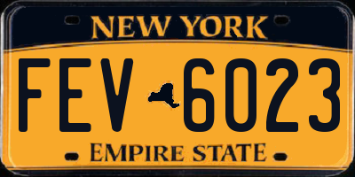 NY license plate FEV6023