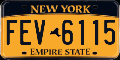 NY license plate FEV6115