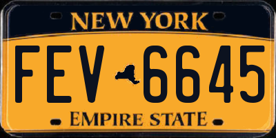 NY license plate FEV6645