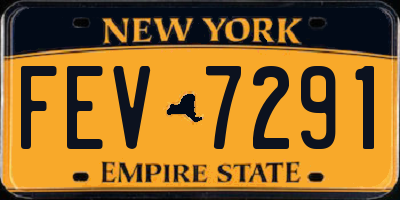 NY license plate FEV7291