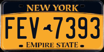 NY license plate FEV7393